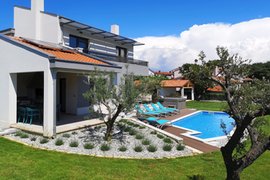 Villa with pool for 10 persons in Rogovici, Istria, Croatia